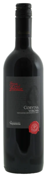 Torre del Falasco Corvina - Torre del Falasco